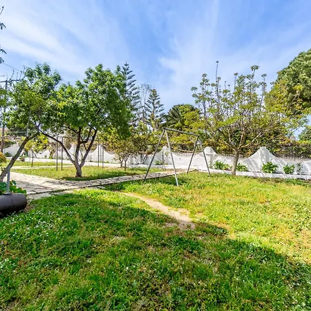 Lotus 4 Almiros Beach